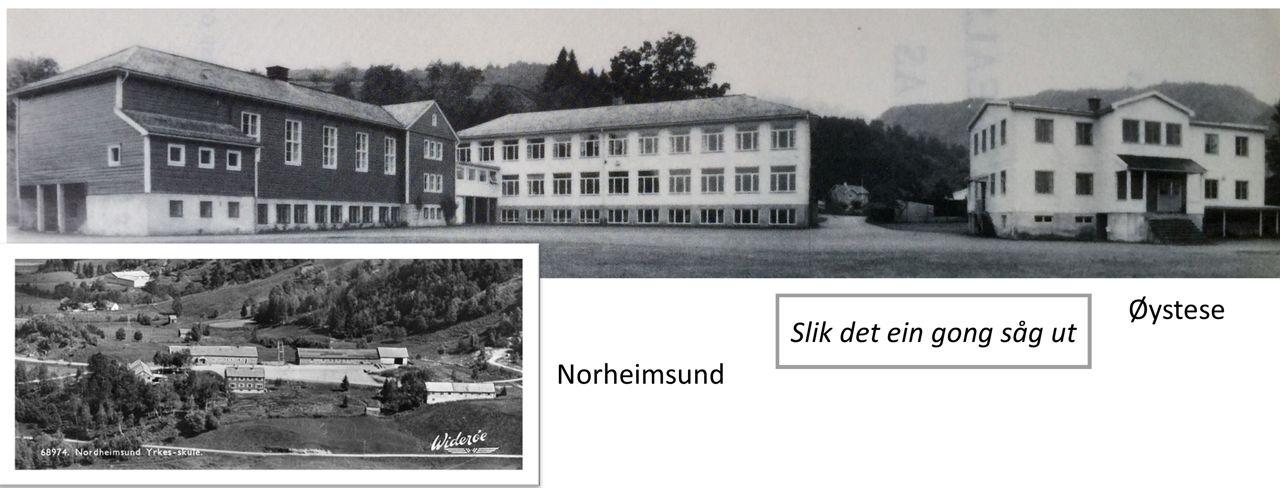 Gamle bilete av skulane