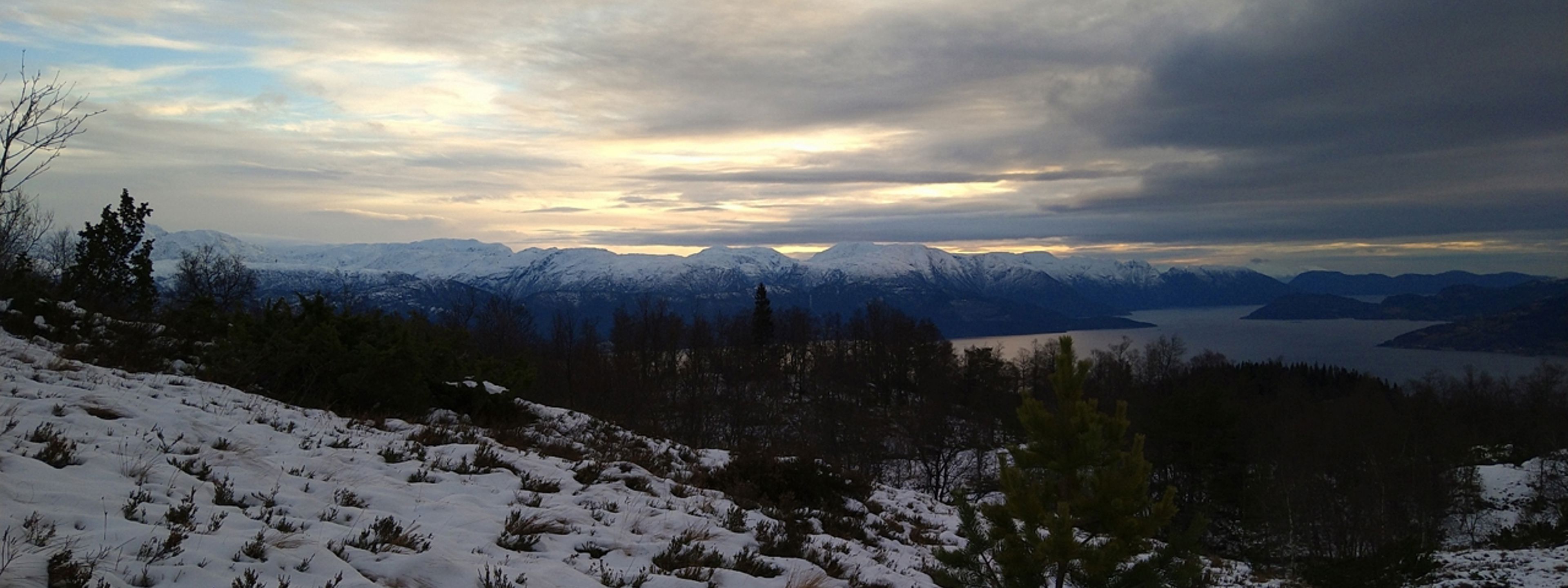 Natur, bakke, tre, fjord og fjell