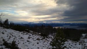 Natur, bakke, tre, fjord og fjell
