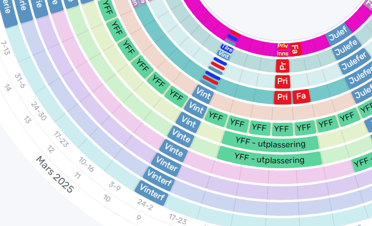 Utsnitt av plandisk